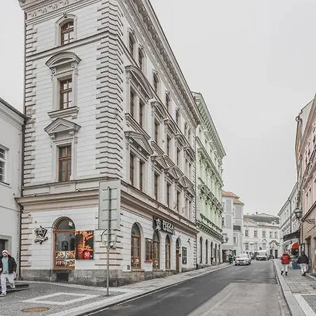 Carolina's Yoga Apartment